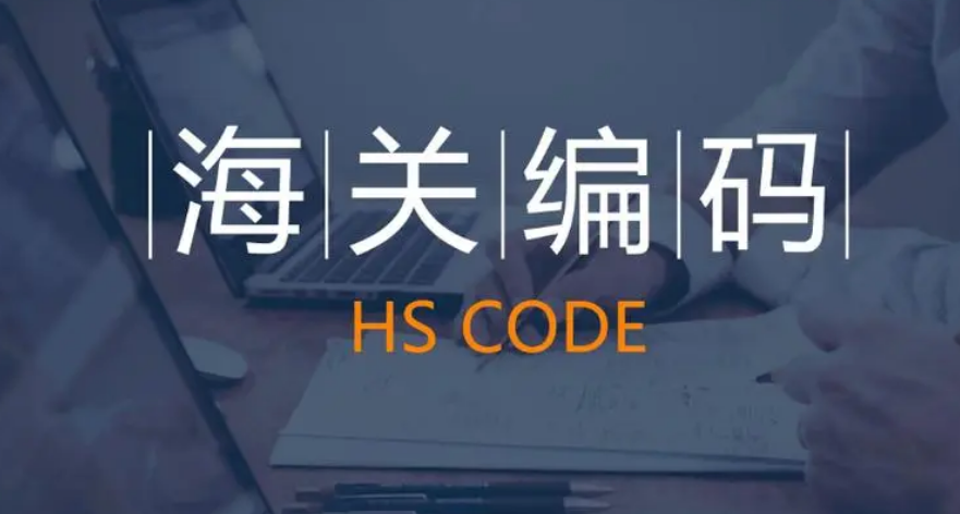 如何確定HS海關(guān)編碼？